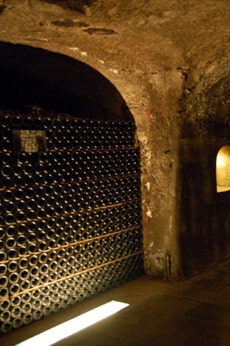 Maîtrisez l'humidité de votre cave à vin: le choix stratégique d